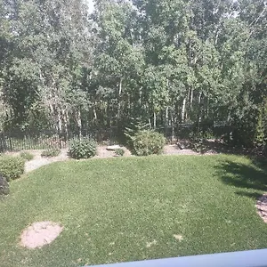 Spacious One Bedroom Walkout Basement Apartment